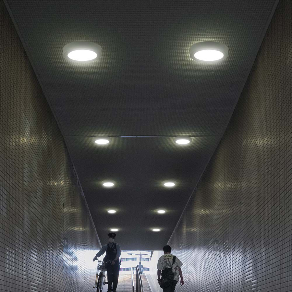 6535_2