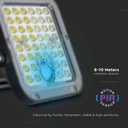 1965_8