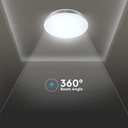 3392_6