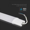 6246_9
