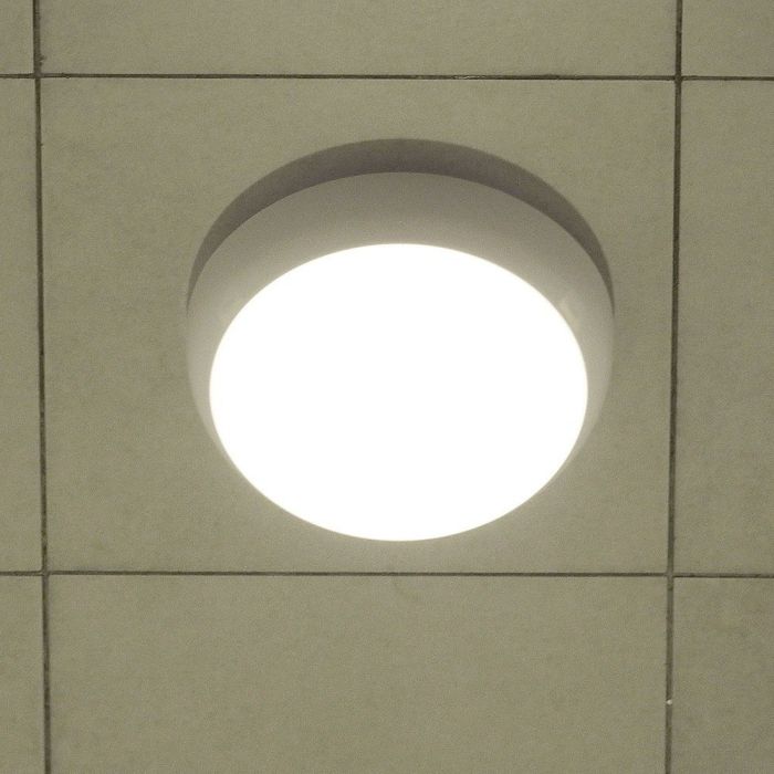 3665_6