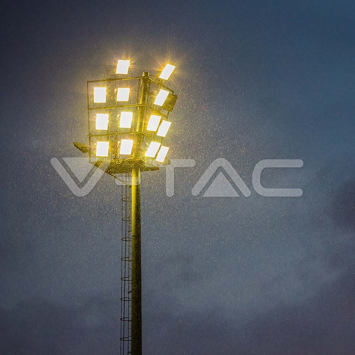 5299_6