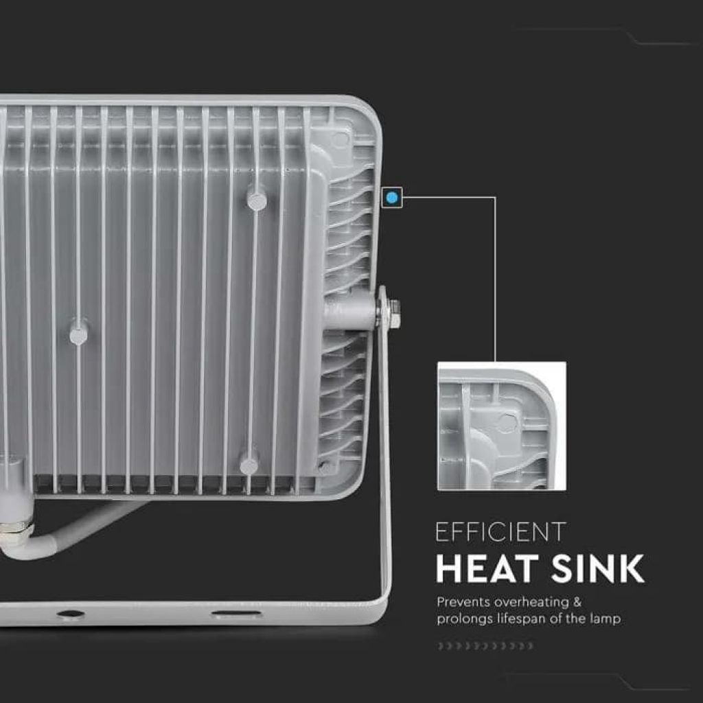6666_10