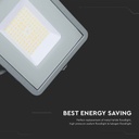 1619_6