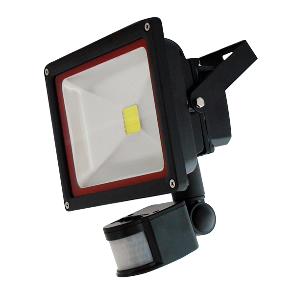 ¬[VZ10450] PROYECTOR LED 30W SENSOR 4000K