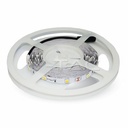 ¬[VZ4272] TIRA LED 12V 4,8W/M SMD5050 30LEDS/M 5M/ROLLO IP20 ROJO