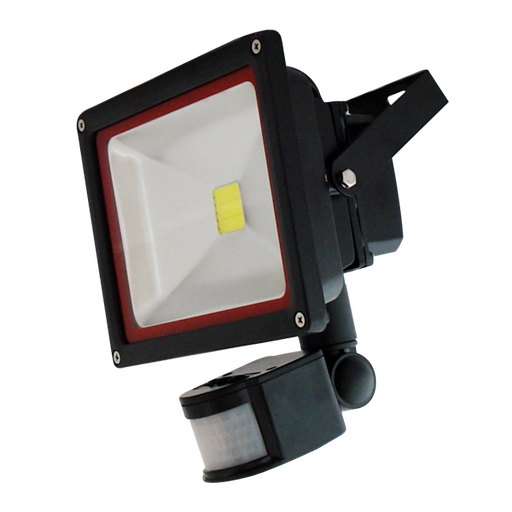 [5225] ¬[VZ10450] PROYECTOR LED 30W SENSOR 4000K