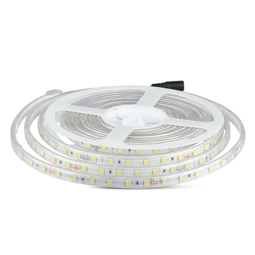 [212564] [VQ2262125641] TIRA LED 24V 10W/M SMD5050 60LEDS/M IP65 6500K 5M/ROLLO